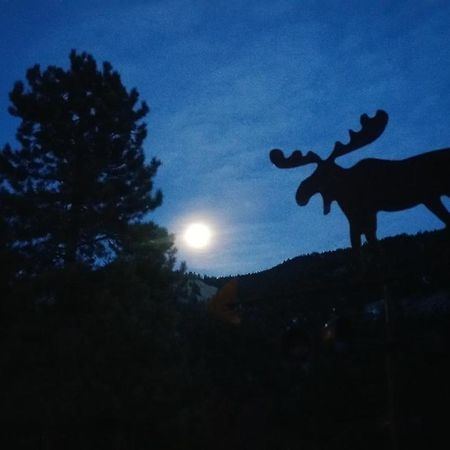 Alpine Moose Lodge Lake City Екстериор снимка