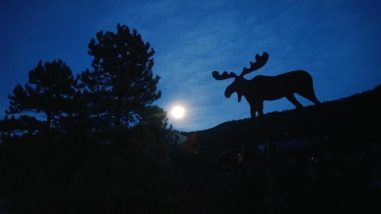 Alpine Moose Lodge Lake City Екстериор снимка